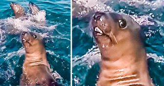 15 человек, которые сделали бомбические находки, путешествуя по онлайн-картам