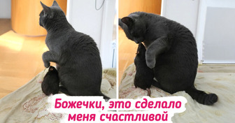 18 душевных кадров с животными, которые доказали, что для настоящей дружбы нет границ