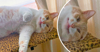 20+ хвостиков, которые так искренне радуются жизни, что настроение взлетает к небесам