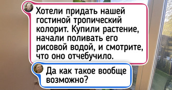 17 случаев, когда домашние цветы неслабо так удивили