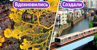 8 доказательств того, что природа даст сто очков вперед любым изобретателям