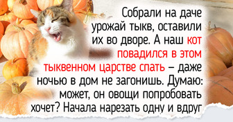 Я считаю осень лучшим временем года и расскажу, как почувствовать ее тепло и маленькие радости