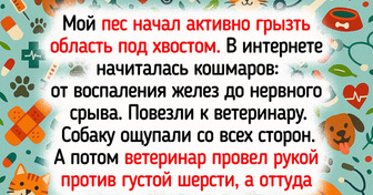 20 историй, после которых понимаешь, что пережить ремонт — это уже победа