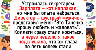 24 жизненные истории о самом первом месте работы, пропитанные светлой ностальгией