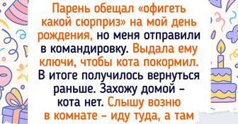 16 человек так лихо отметили день рождения, что можно сценарий для кино писать