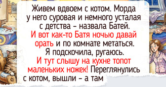 Когда мысли сходятся: 17 теплых историй о семьях, где понимают друг друга без слов