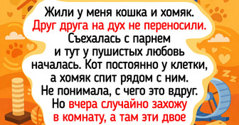 16 мохнатых парочек, чья дружба напоминает сценарий доброго мультфильма