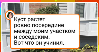 16+ людей облагораживают пространство как могут, а мы не знаем, смеяться или охать от восхищения