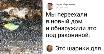 18 подтверждений тому, что никто не застрахован от сюрпризов даже дома