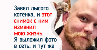 20+ человек, чья жизнь разделилась на «до» и «после», когда они встретили хвостатого друга