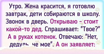 20+ жизненных историй о том, что порой не мы выбираем себе кота, а он нас