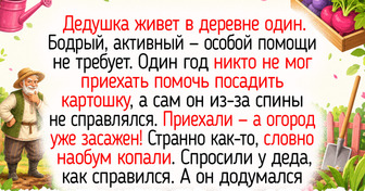 16 теплых историй о деревенских жителях, у которых кукарекают петухи и пахнет сливовыми пирогами