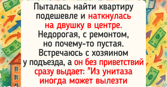 15 историй, финал которых поставил нас в ступор