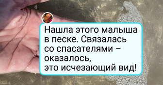 20 человек, к которым животные пришли сами, словно почувствовав доброе сердце
