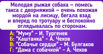 Проверьте, сможете ли вы угадать классические произведения по первым строчкам