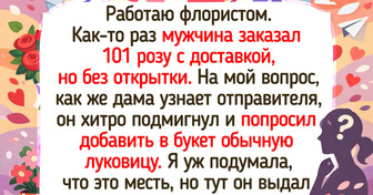15+ заказчиков, которые оставили впечатления ярче, чем северное сияние