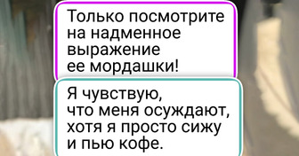 17 котов, которые всем своим видом показывают, кто в этом доме настоящий хозяин