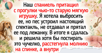 16 питомцев, которые точно знают, кто в этом доме главный