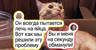 15 животных, от чьих причуд одновременно глаза на лоб лезут, и на смех пробирает