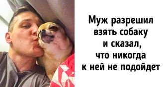 20+ читателей AdMe.ru, которые были категорически против домашних животных, а сейчас от них без ума