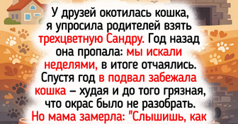 20+ трогательных историй о пушистиках, которые нашли своих людей в самый неожиданный момент