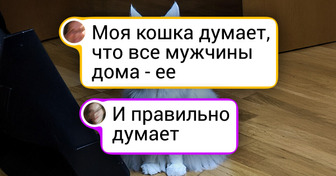 18 родных питомцев, которые давно решили — главные тут они, и каждый день это доказывают