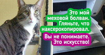 20 фото-улик, которые без слов докажут, что в доме орудует хвостатый