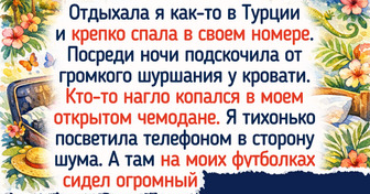 15+ курьезов из отелей, которые живут в памяти дольше, чем магнитики на холодильнике