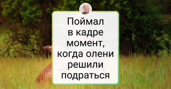 17 человек, которые сделали фотографию в нужный момент