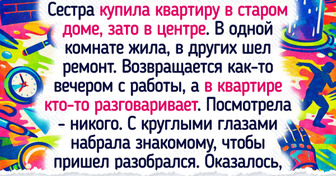 16 примеров того, что переезд — это не только коробки и стресс, но и начало увлекательного приключения — 23.03.2026
