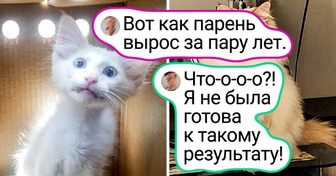 16 питомцев, которые расцвели от любви своих хозяев