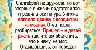 20 историй, которые напомнят о том, что борьба за хорошую оценку — это отдельный вид искусства