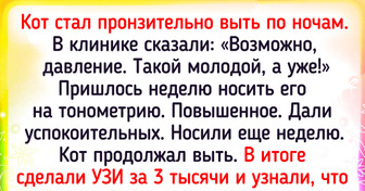 17 курьезных историй о том, что у пушистых — свои причуды