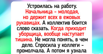 15 историй о коллективах, в которых что ни день, то новая серия «Кассандры»