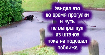 17 фото, которые на секундочку сломают ваш мозг, пока вы не присмотритесь