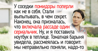 12 кинокомедий и легких сериалов, под которые приятно расслабиться, когда за окном томный летний вечер