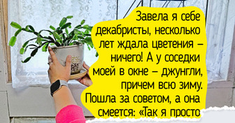 6 хитростей, благодаря которым ваши домашние растения справятся с холодами и не сбросят ни листочка