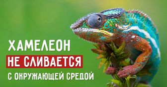 10 заблуждений, которые многие принимают за правду