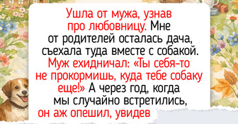 17 светлых историй и фото о питомцах, прогулки с которыми согревают лучше майского солнца