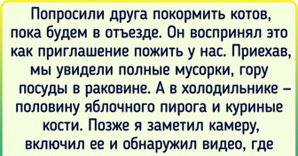 16 историй о людях, которые поняли фразу «чувствуй себя как дома» слишком буквально