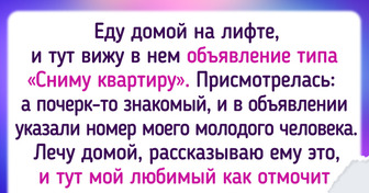 14 историй с такими лихими поворотами, что гонщики «Формулы-1» скромно мнутся в сторонке