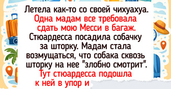 14 историй о том, как в самолете разыгралась настоящая Санта-Барбара