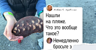 14 находок на пляже, которые закончились вопросом «Что это вообще такое?»