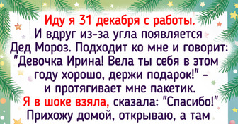 14 теплых новогодних историй, которые согреют в зимние морозы