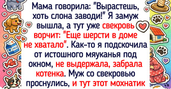 20+ первых любимцев, которые мягкими лапками навсегда оставили след в нашем сердце