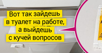 20+ доказательств того, что в каждом офисе царит своя атмосфера — чересчур эпичная