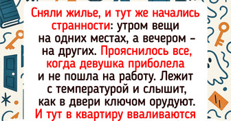 15 арендодателей, которые добавили своим квартирантам перчинки в жизнь