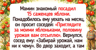 17 историй о том, как соседи по даче превратили обычные будни в комедийный сериал