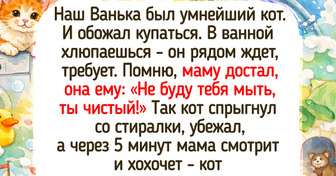 17 озорных питомцев, чьи добрые проделки делают хозяев только счастливее