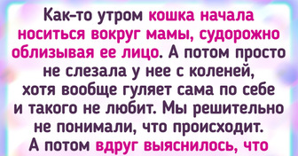 18 пушистых историй о том, как питомец может подкинуть в жизнь веселья